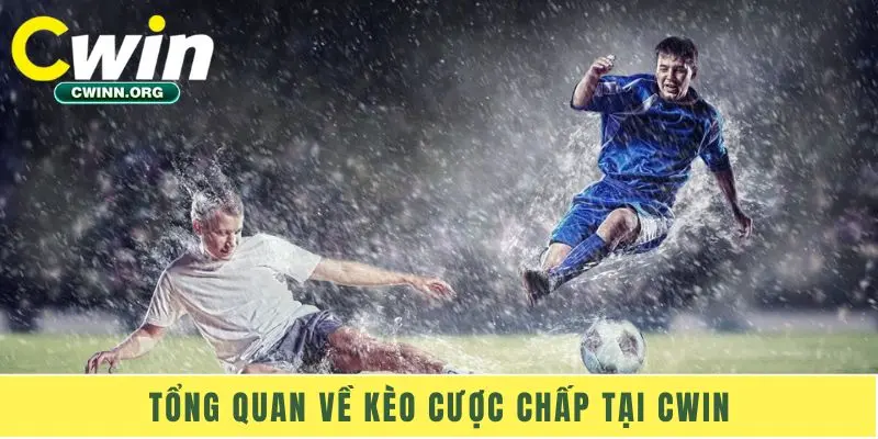 Tổng quan về kèo cược chấp tại Cwin