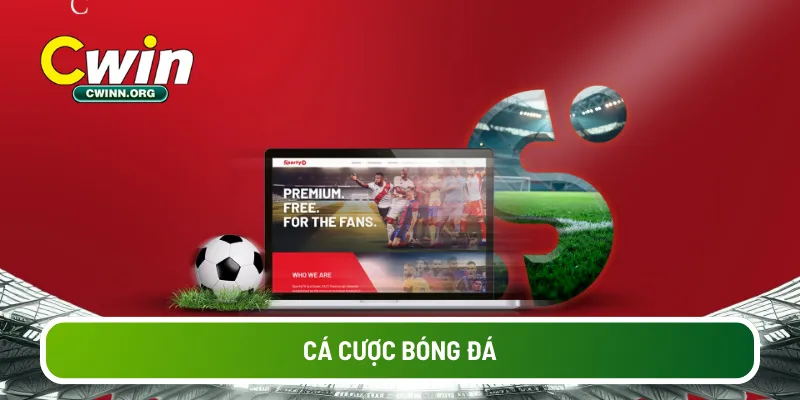 ca-cuoc-bong-da